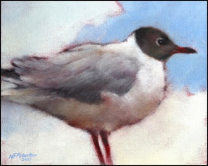black head gull 25&middot;20
&pound;150